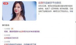 佳润最新爆料视频大全集,揭秘幕后真相，带你走进事件核心